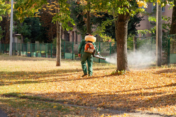 Best Pest Inspection Near Me  in Rosedale, MS